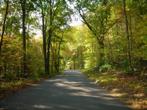 new england country road