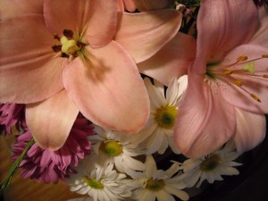 bouquet of flowers